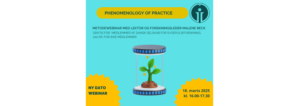 Metodewebinar Phenomenology of Practice 